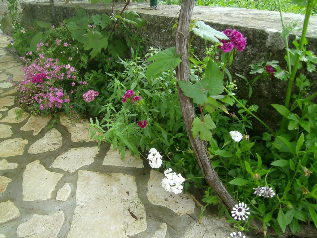 Holiday Home Lorraina Štivan Zewnętrze zdjęcie